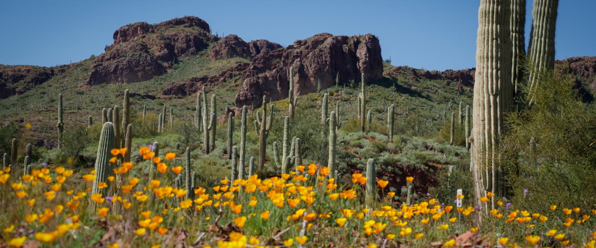 Exploring the Impact of Foundations in Pinal County, Arizona