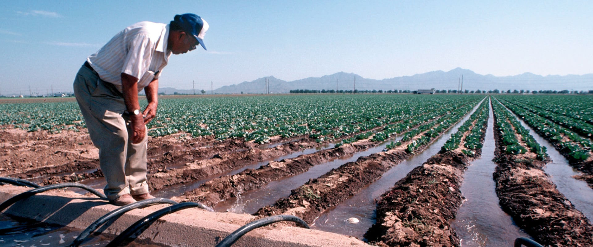 Preserving Pinal County, Arizona: The Role of Foundations in Environmental Conservation