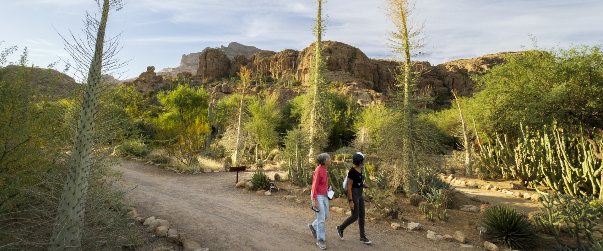 The Power of Partnerships: Foundations in Pinal County, Arizona