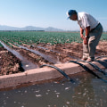 Preserving Pinal County, Arizona: The Role of Foundations in Environmental Conservation