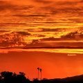 The Impact of Foundations in Pinal County, Arizona: Upcoming Events and Fundraisers