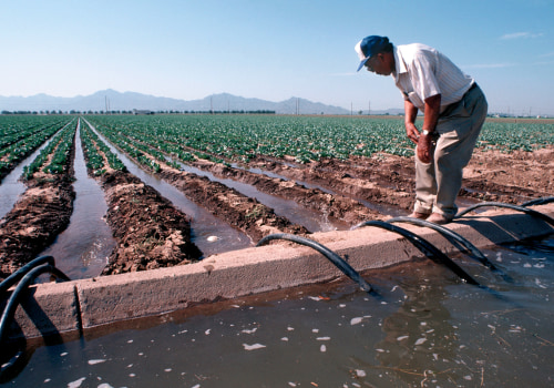 Preserving Pinal County, Arizona: The Role of Foundations in Environmental Conservation