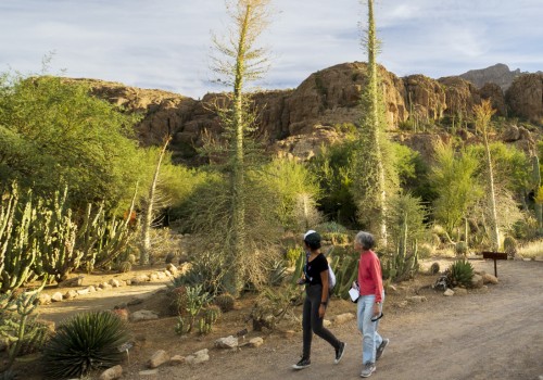 The Power of Partnerships: Foundations in Pinal County, Arizona